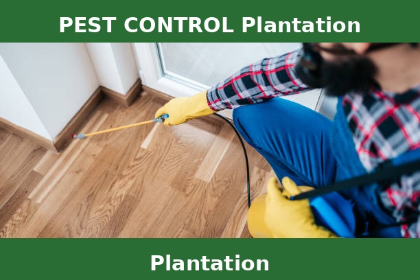 PEST CONTROL Plantation